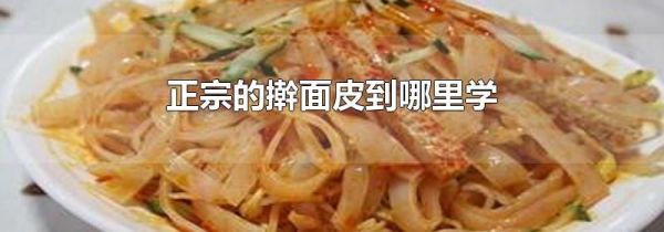 正宗的擀面皮到哪里学