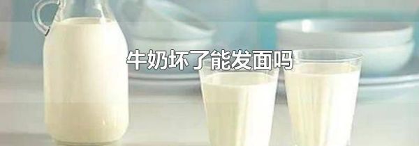 牛奶坏了能发面吗