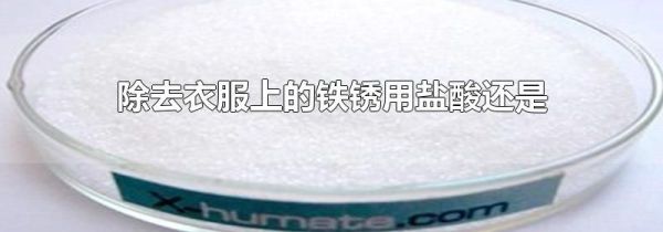 除去衣服上的铁锈用盐酸还是草酸