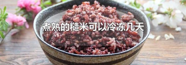 煮熟的糙米可以冷冻几天