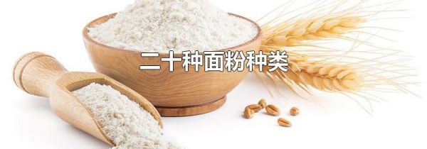 二十种面粉种类