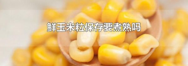 鲜玉米粒保存要煮熟吗