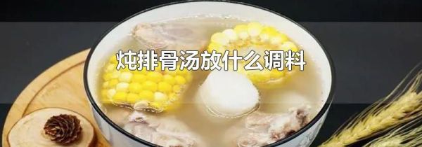 炖排骨汤放什么调料