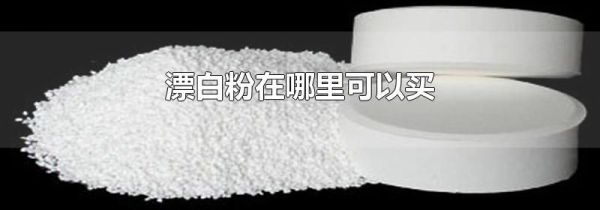 漂白粉在哪里可以买