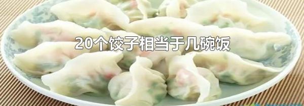20个饺子相当于几碗饭