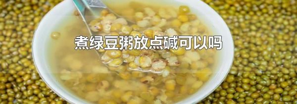 煮绿豆粥放点碱可以吗