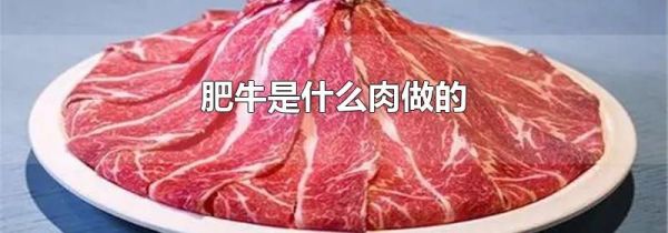 肥牛是什么肉做的