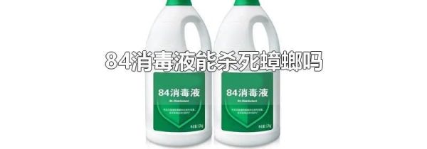 84消毒液能杀死蟑螂吗