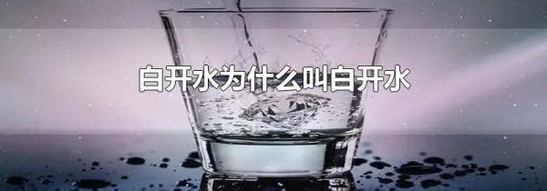 白开水为什么叫白开水