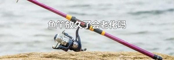 鱼竿放久了会老化吗
