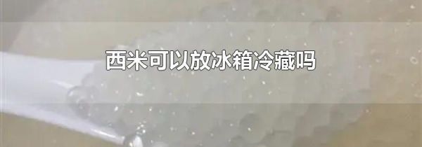 西米可以放冰箱冷藏吗