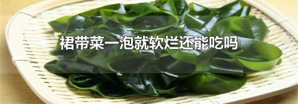 裙带菜一泡就软烂还能吃吗