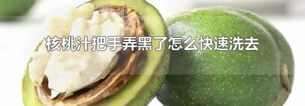 核桃汁把手弄黑了怎么快速洗去