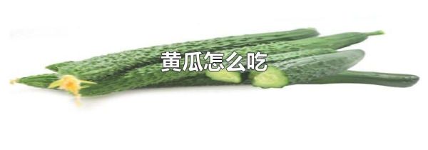 黄瓜怎么吃
