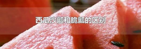 西瓜沙瓤和脆瓤的区别