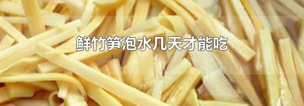 鲜竹笋泡水几天才能吃