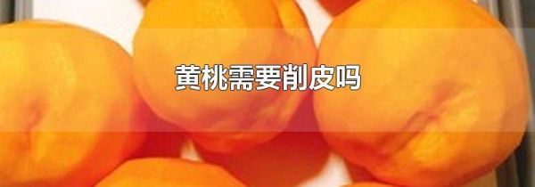 黄桃需要削皮吗
