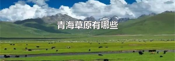 青海草原有哪些