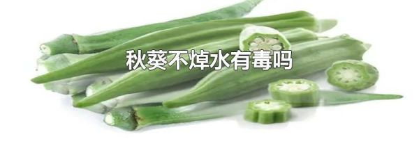 秋葵不焯水有毒吗