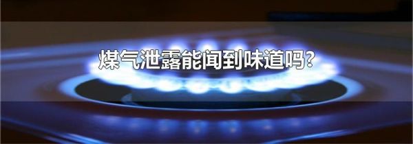 煤气泄露能闻到味道吗?