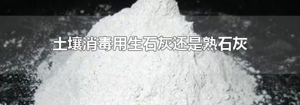 土壤消毒用生石灰还是熟石灰