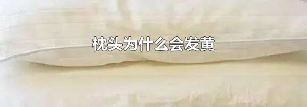 枕头为什么会发黄