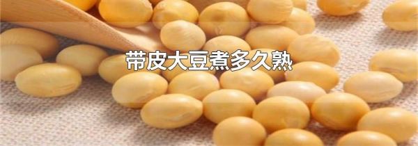 带皮大豆煮多久熟