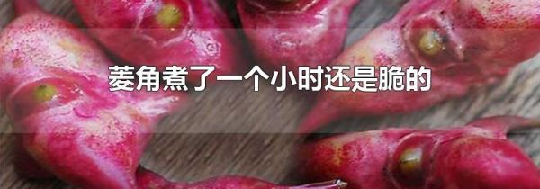 菱角煮了一个小时还是脆的