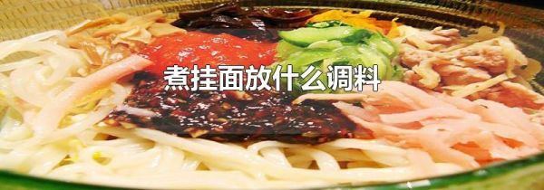 煮挂面放什么调料