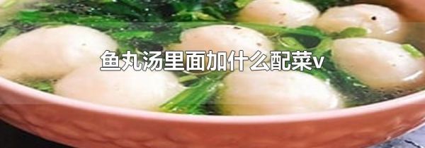 鱼丸汤里面加什么配菜