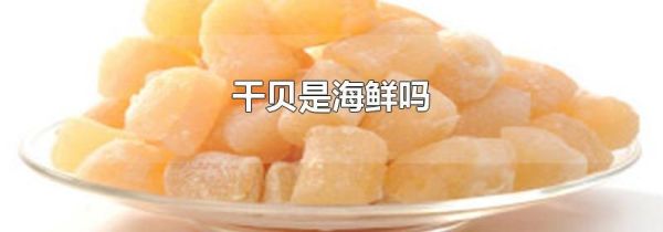 干贝是海鲜吗