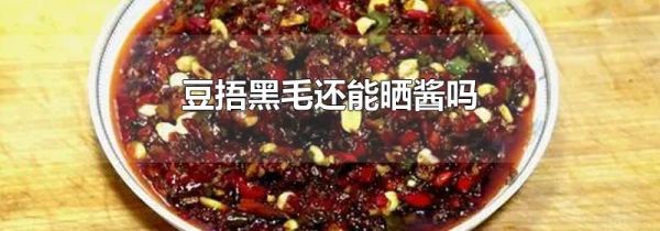 豆捂黑毛还能晒酱吗