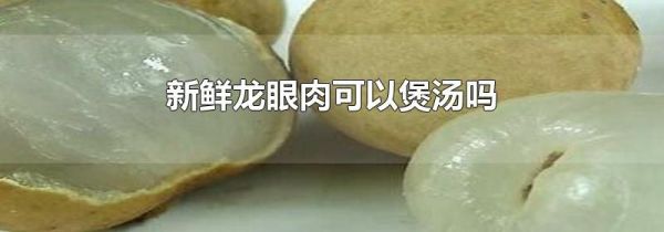 新鲜龙眼肉可以煲汤吗
