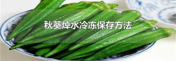 秋葵焯水冷冻保存方法