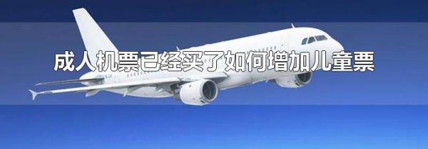 成人机票已经买了如何增加儿童票