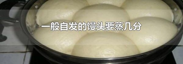 一般自发的馒头要蒸几分