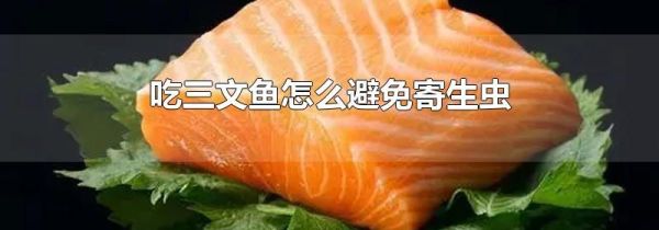 吃三文鱼怎么避免寄生虫