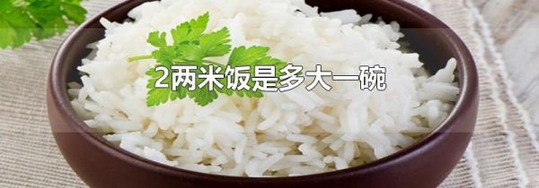 2两米饭是多大一碗