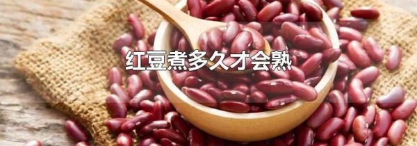红豆煮多久才会熟