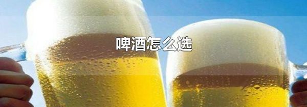 啤酒怎么选