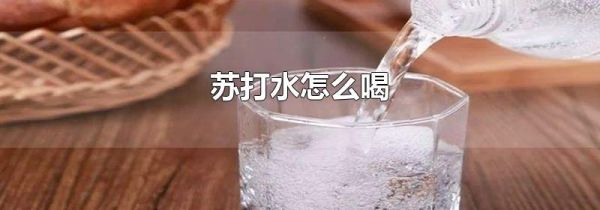 苏打水怎么喝