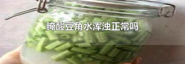 腌酸豆角水浑浊正常吗