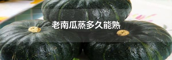 老南瓜蒸多久能熟