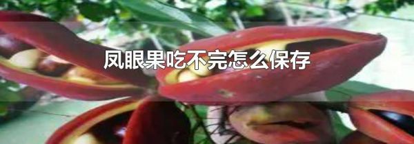 凤眼果吃不完怎么保存