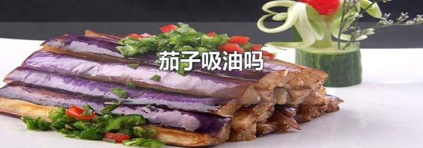 茄子吸油吗