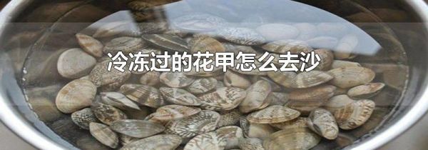 冷冻过的花甲怎么去沙
