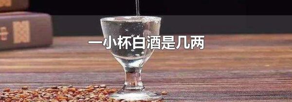 一小杯白酒是几两