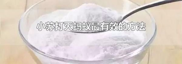 小苏打灭蚂蚁最有效的方法