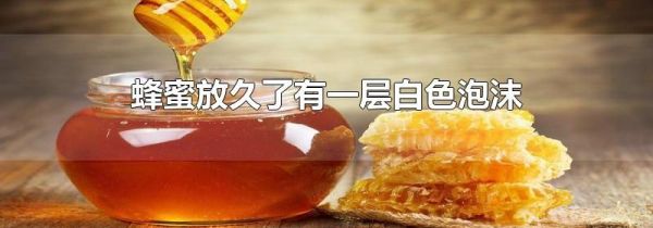 蜂蜜放久了有一层白色泡沫