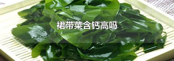 裙带菜含钙高吗